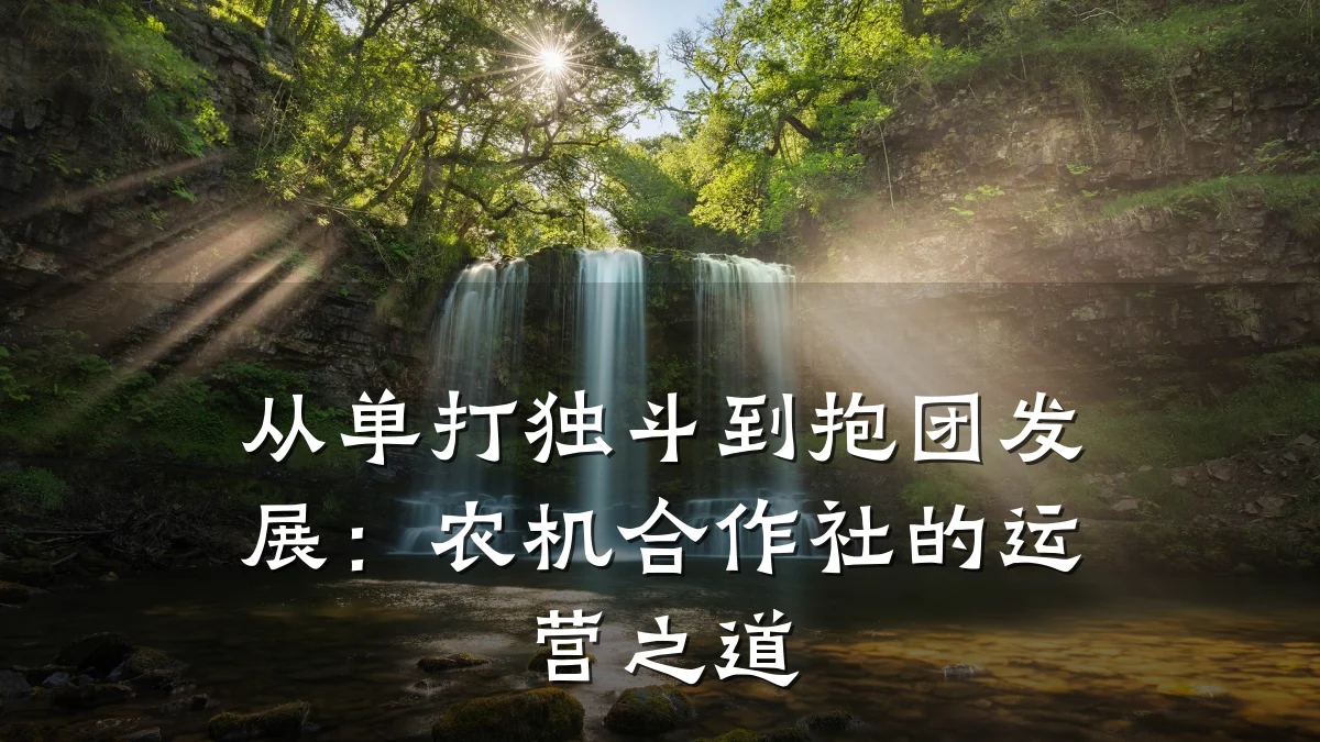 从单打独斗到抱团发展：农机合作社的运营之道
