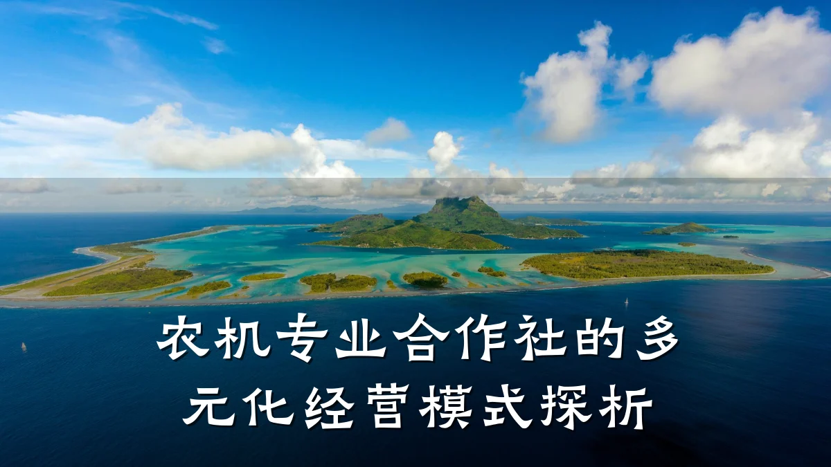 农机专业合作社的多元化经营模式探析
