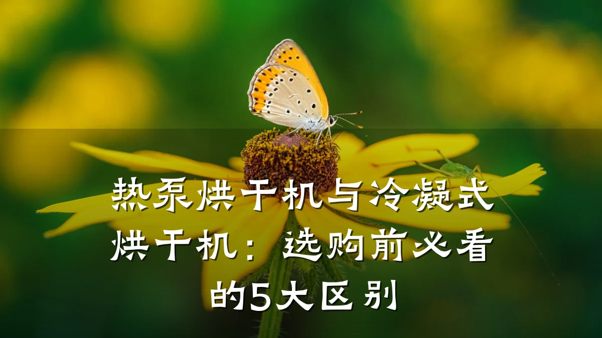 热泵烘干机与冷凝式烘干机:选购前必看的5大区别