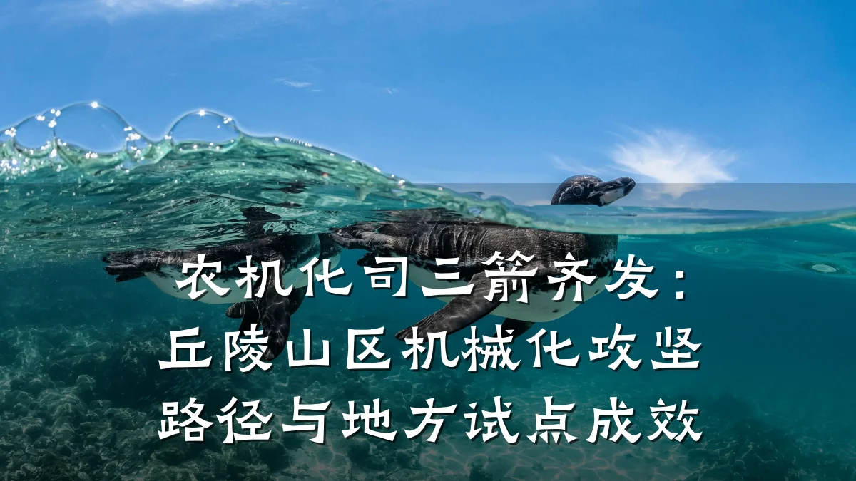 农机化司三箭齐发：丘陵山区机械化攻坚路径与地方试点成效