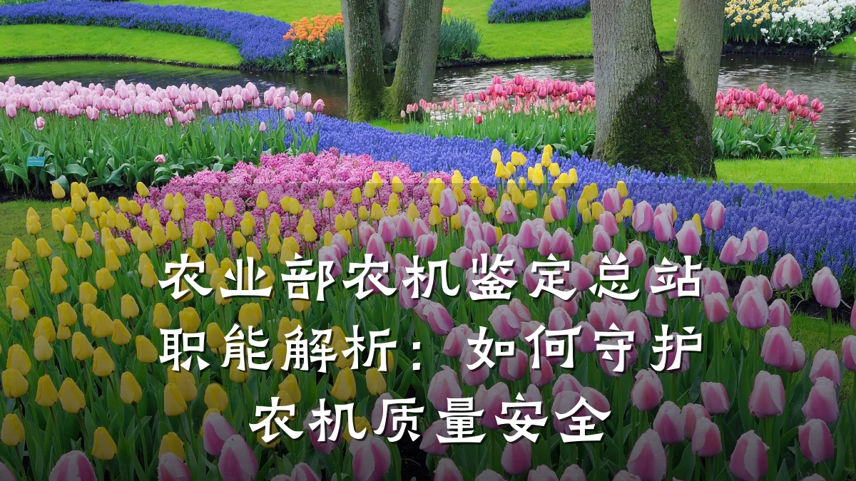 农业部农机鉴定总站职能解析:如何守护农机质量安全