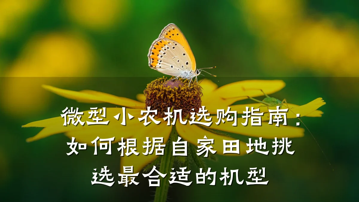 微型小农机选购指南:如何根据自家田地挑选最合适的机型