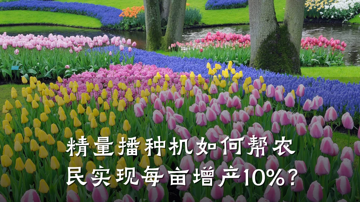 精量播种机如何帮农民实现每亩增产10%?