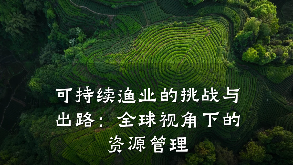 可持续渔业的挑战与出路：全球视角下的资源管理
