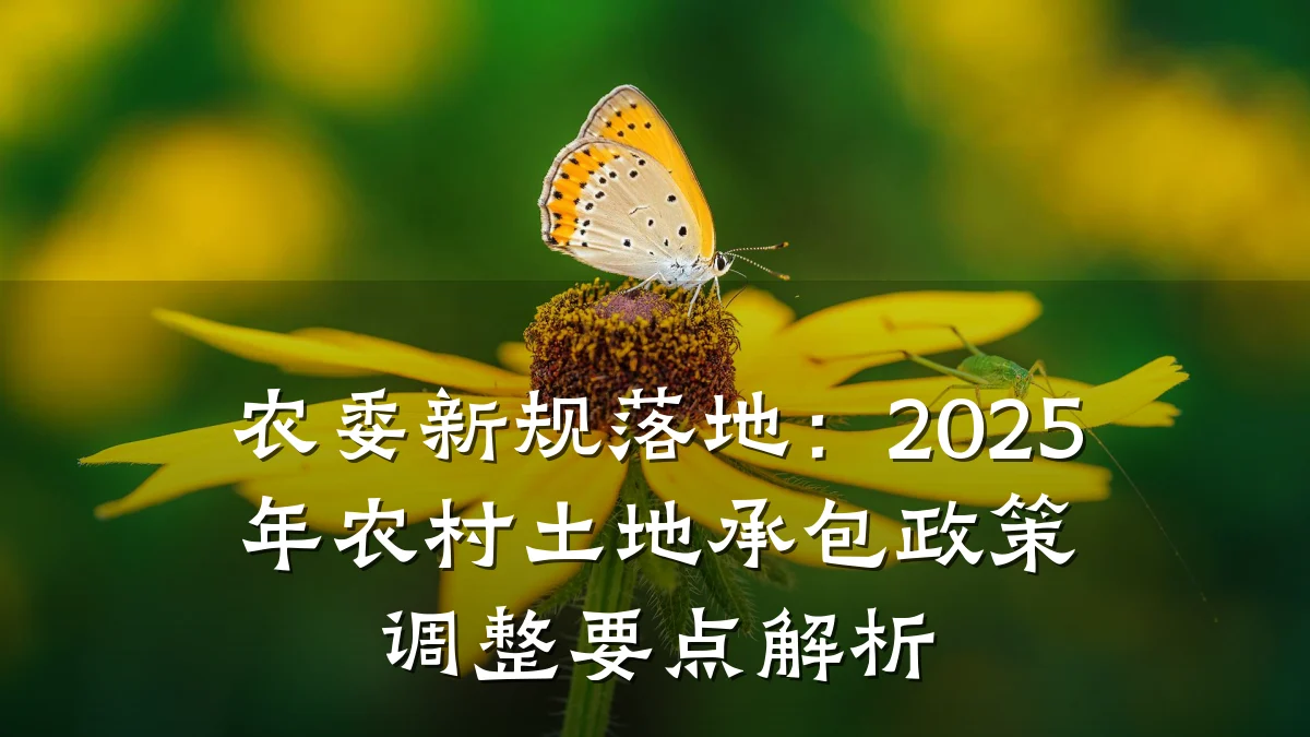 农委新规落地:2025年农村土地承包政策调整要点解析