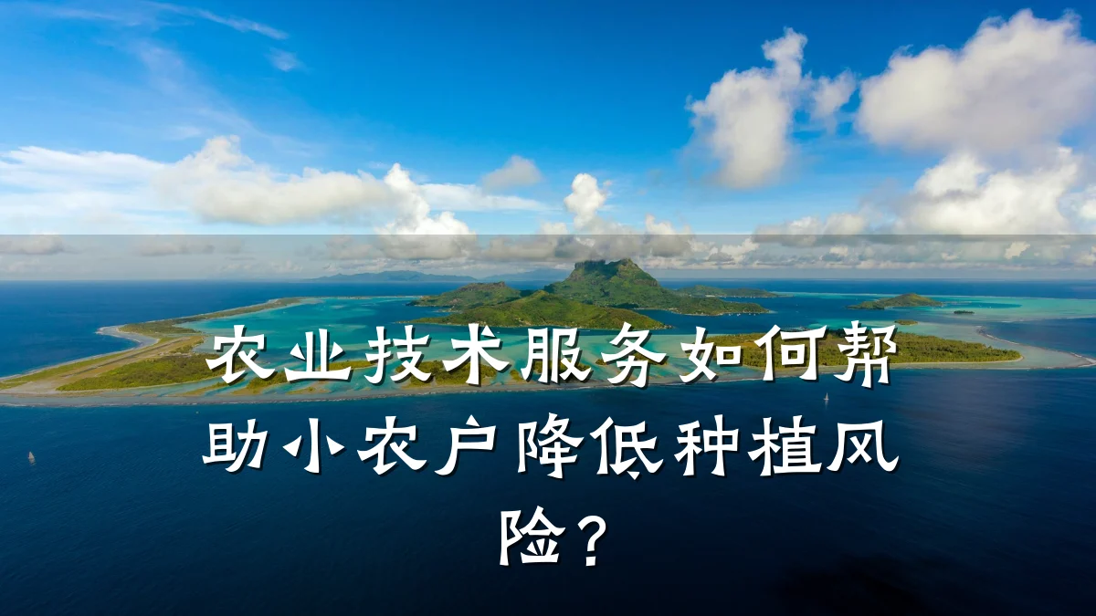 农业技术服务如何帮助小农户降低种植风险?