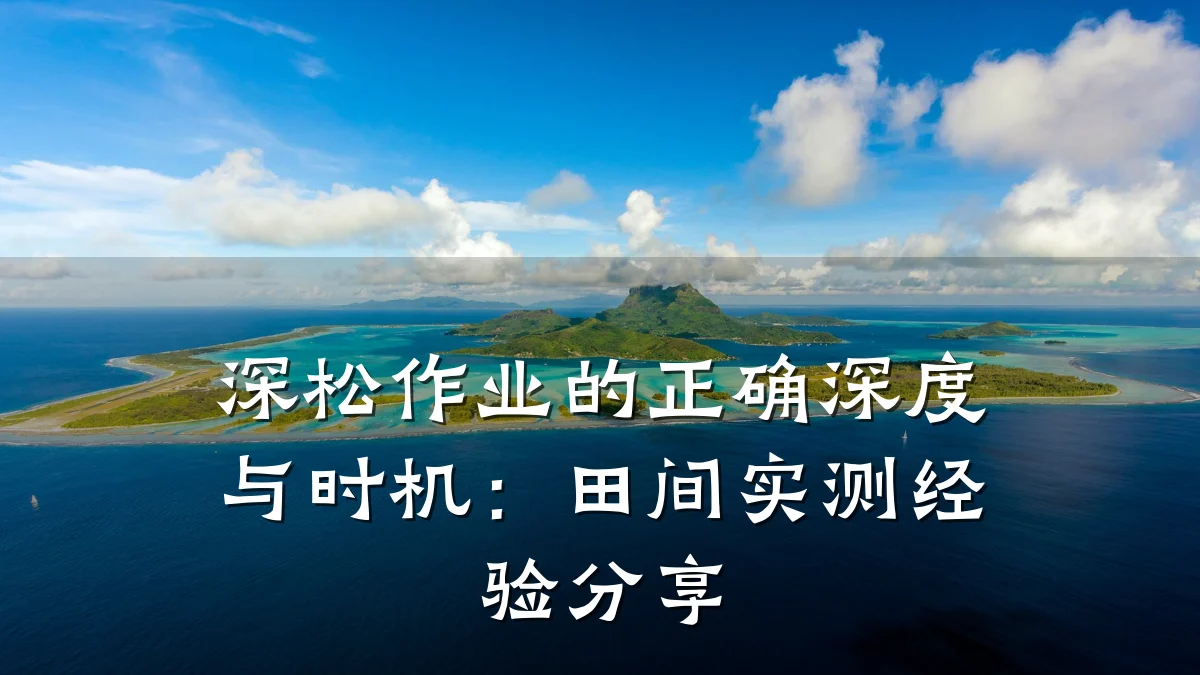 深松作业的正确深度与时机:田间实测经验分享