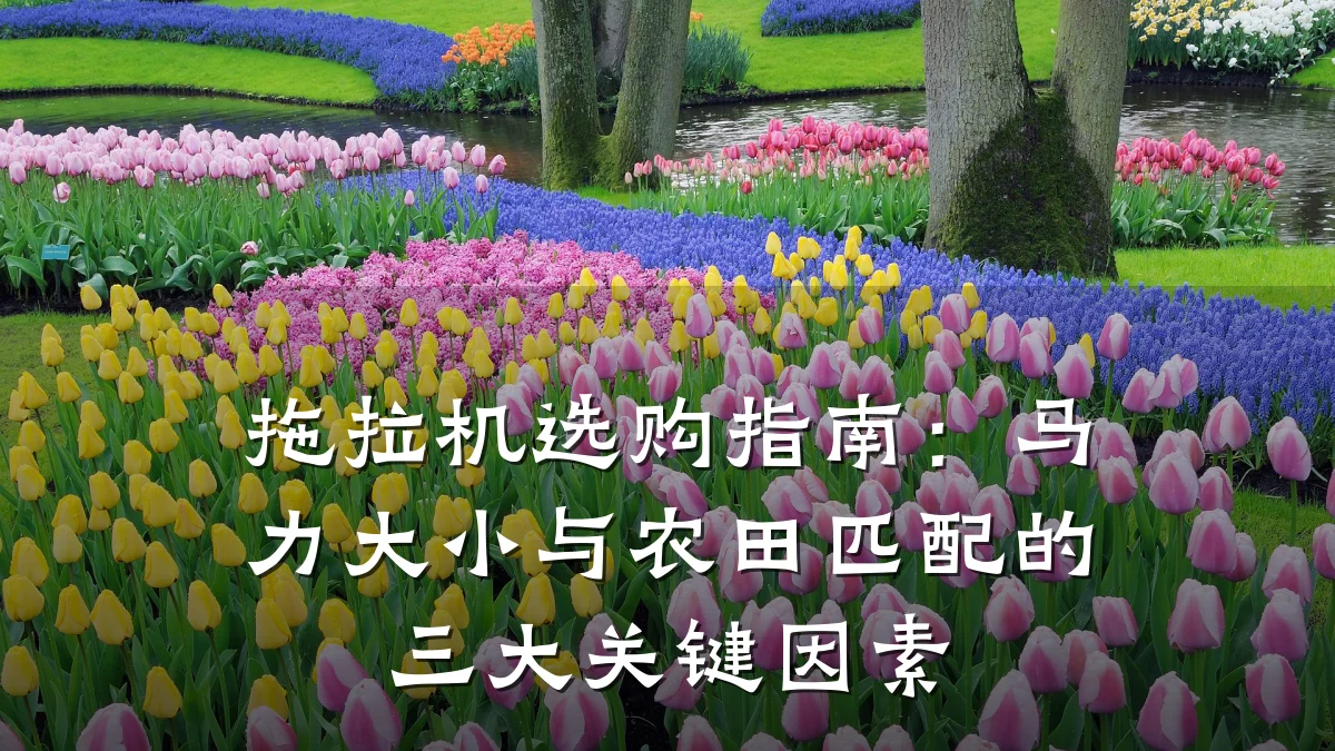 拖拉机选购指南:马力大小与农田匹配的三大关键因素