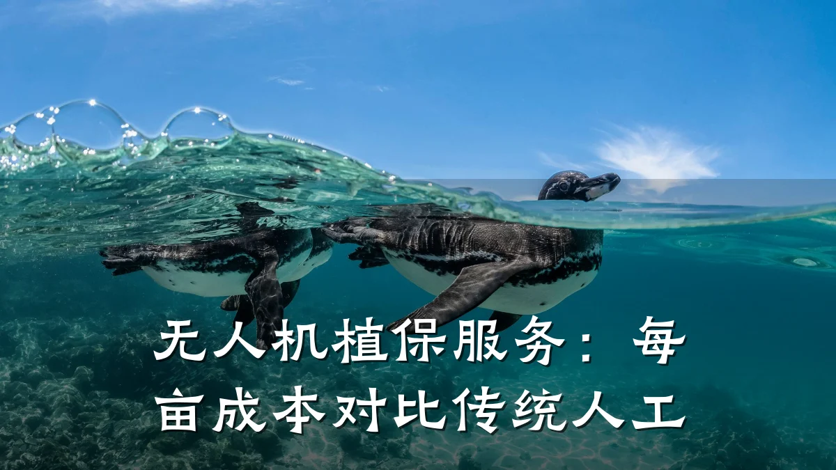 无人机植保服务:每亩成本对比传统人工